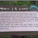 천구식품 Daum카페