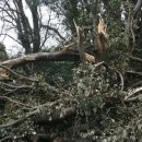 동광리-19 이미지