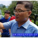 안명초등학교 이미지