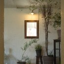 페르마타(fermata) 이미지