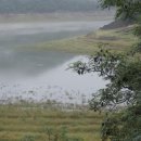 실리곡낚시터 이미지