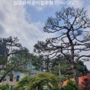 세종로237번길 이미지