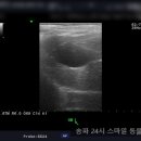 헬리오동물병원 이미지