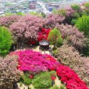 완산공원(아래) 이미지