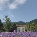 하늬목장 이미지