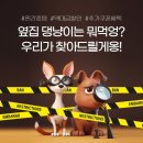 댕냥이 키우는 집사 두팔있어?! 애들 간식 쟁여!!! 이미지