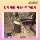 아파트 조경작업 죽은나무 관리 고사목 벌목