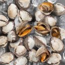 일품명가(벌교) 이미지