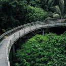 브레인팜 이미지