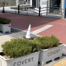 강릉 교동 감성카페, 코버트 Cafe COVERT (주차정보/후기)