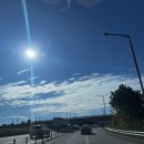 주말일상🚗 대전 빵집[빵드슈][몽심] 한남대 근처유명빵집 대전복합터미널주변 숙소[대전라움호텔]