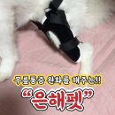 은해보조기 네이버블로그