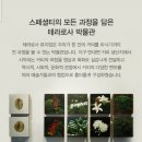 강릉커피박물관 | 테라로사 커피공장 강릉본점 테라로사 뮤지엄 박물관 투어 예약 방법, 투어 후기, 테라로사 뮤지엄 아트...