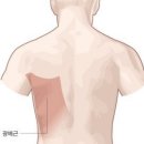 청담휘트니스 이미지