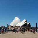 까치212-5425공인중개사사무소 이미지