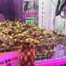 아놔뽑기방 | 성수동 인형뽑기 슈퍼베어 SUPER BEAR 🧸