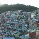 감천할아버지 이미지