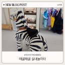 떼굴떼굴 이미지