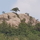 녹진관광지 이미지