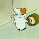 보성완도 이미지
