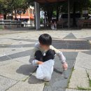 NTS태권도장 이미지