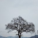 원주굽이길 12코스 뱃재넘이길 이미지