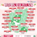 영신숲길3 이미지