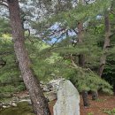 26.5.28.10.30명륜역.용연마을.내원암매표소.중앙능선.비로봉.보현사.천성리버타운.(길사랑) 이미지
