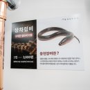 대한풍천장어 이미지