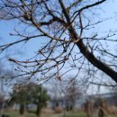 한들방죽공원 이미지