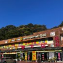 내장산국립공원 백양사 단풍축제 내장산맛집 50년경력 종가집 내돈내산 솔직후기