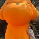 오리당 이미지
