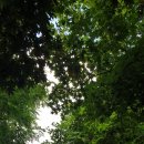 반송 관광펜션 이미지