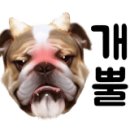 은밀하개위대하개 이미지