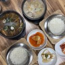 더일품얼큰순대국&뼈해장국 | 청주봉명동맛집, 솥밥 주는 가성비 국밥 '채원순대국뼈해장국' 솔직후기