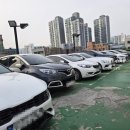 창동 | 이마트 쓱데이 2025 전단지 언제까지 할인 창동점 후기