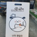 해피멍냥데이 - 서구 계룡로 562 | 해피멍냥데이