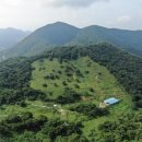 나의목장 이미지