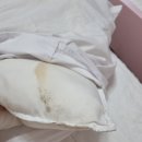 제주 채움키즈풀빌라
