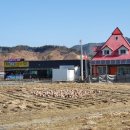 섬강공인중개사사무소 네이버블로그