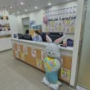 랭콘잉글리쉬학원 이미지