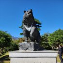 설악산 비선대, 금강굴(22.10.12) 이미지