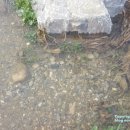 덕우민박 이미지