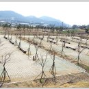 땅끝황토나라테마촌 이미지