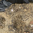 호인농장 이미지