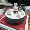 쁘띠베라 이미지