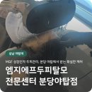 야탑1주민센터 내 | 엠지에프두피탈모 전문센터 야탑/분당탈모 고민, 분당 두피관리로 확실히 달라지는 느낌!