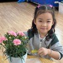 국원유치원 이미지