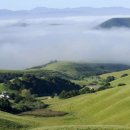 동물원주유소 이미지