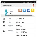 올레 비치 이미지